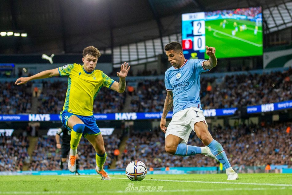 球星的健康 球星的健康